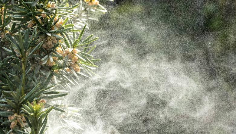 Аллергический ринит: симптомы и лечение